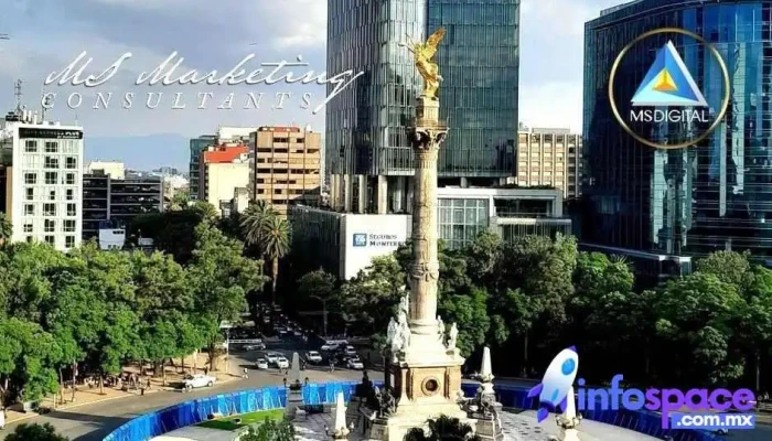 Ms Marketing Consultants Mexico Precios - Toluca de Lerdo