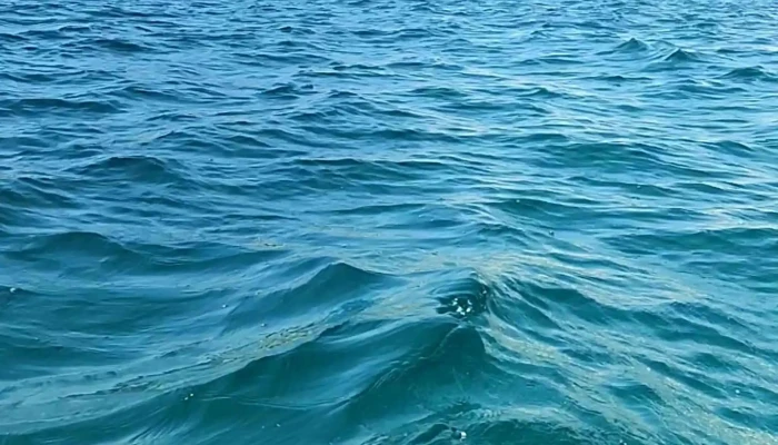 Muelle De Santa Cruz Huatulco Cerca De Mi - México