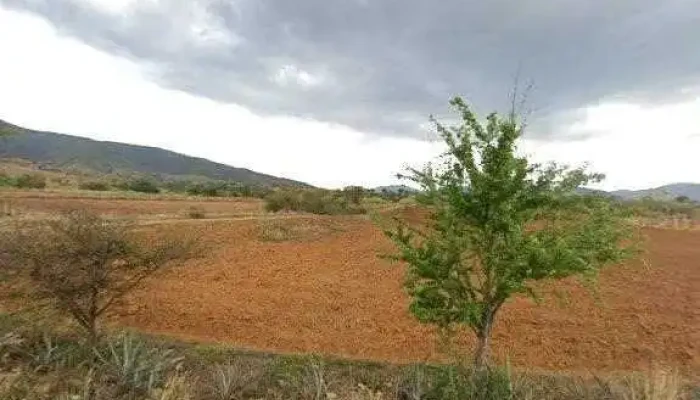 Municipio De Magdalena Teitipac -  Opiniones - Magdalena Teitipac