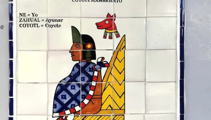 Nezahualcoyotl Zona - Ciudad Nezahualcoyotl