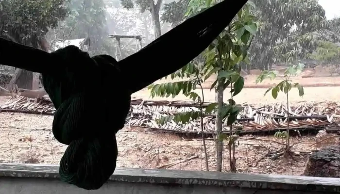 Nuevo Ixcatlan Videos - Nuevo Ixcatlán