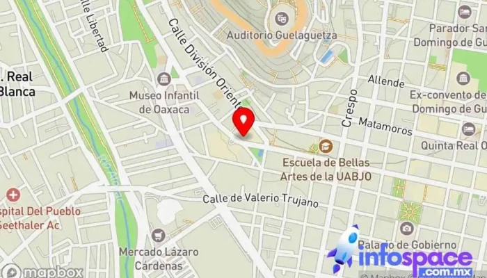 mapa de Nutricion Isagenix Nutricionista en Oaxaca de Juárez
