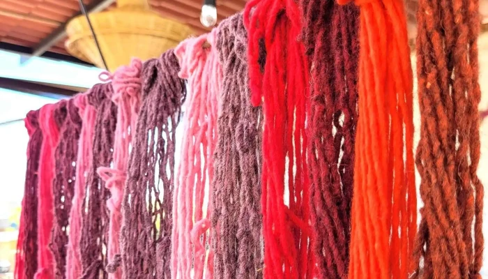 Oaxaca Cultural Navigator Llc - Teotitlán Del Valle