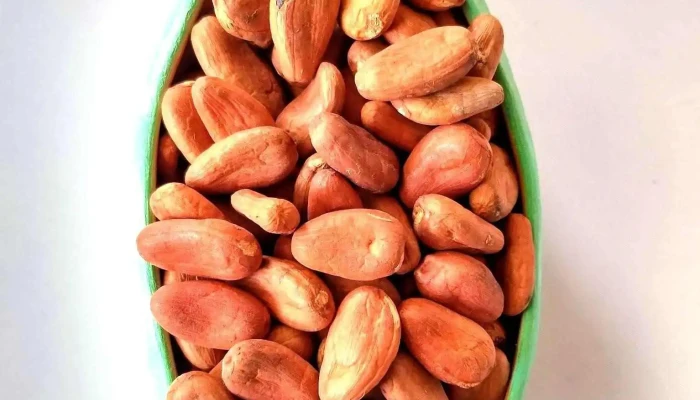 Oaxacacao Chocolate Y Cacao -  Comida Y Bebida - Oaxaca de Juárez