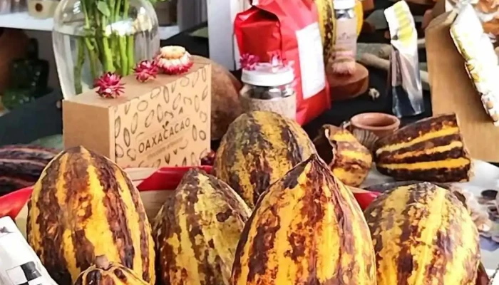 Oaxacacao Chocolate Y Cacao -  Del Propietario - Oaxaca de Juárez