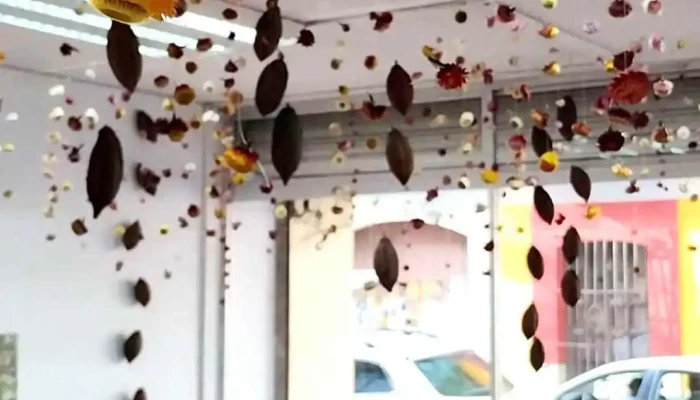 Oaxacacao Chocolate Y Cacao -  Videos - Oaxaca de Juárez