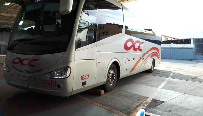 Occ Tapachula -  Autobus - Tapachula de Córdova y Ordóñez
