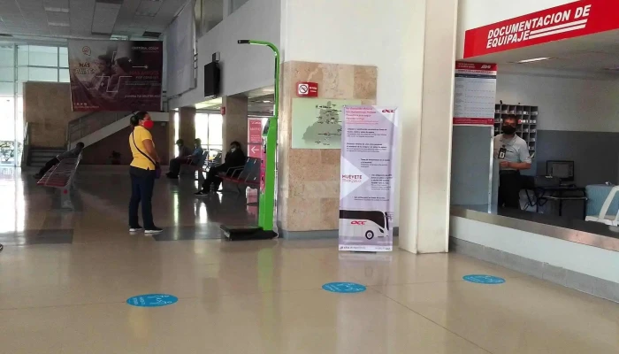 Occ Tapachula -  Direccion - Tapachula de Córdova y Ordóñez