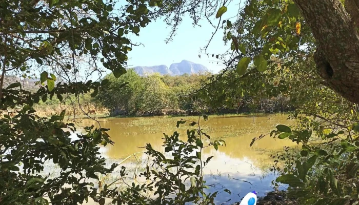 Ojo De Agua De Palmillas -  Como Llegar - Ojo de Agua de Palmillas