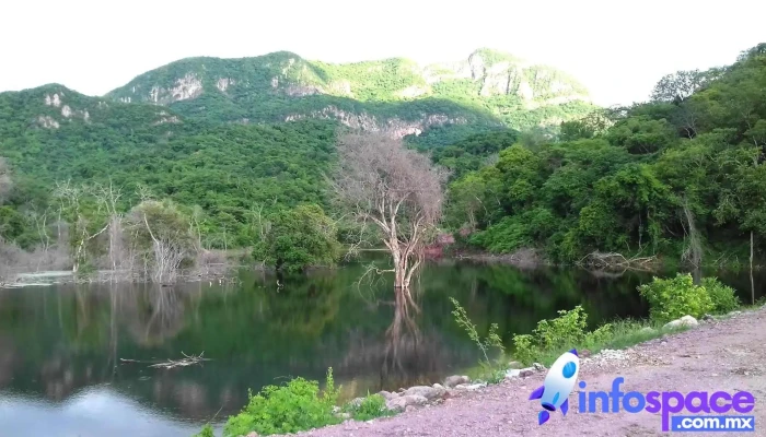 Ojo De Agua De Palmillas -  Montana - Ojo de Agua de Palmillas
