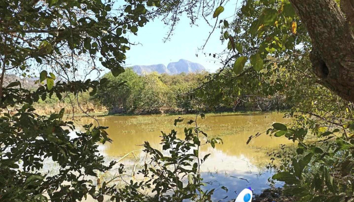 Ojo de Agua de Palmillas - Ojo De Agua De Palmillas