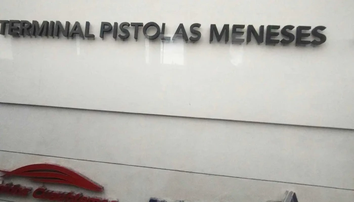 Omnibus De Mexico   Pistolas Meneses Descuentos - Chihuahua
