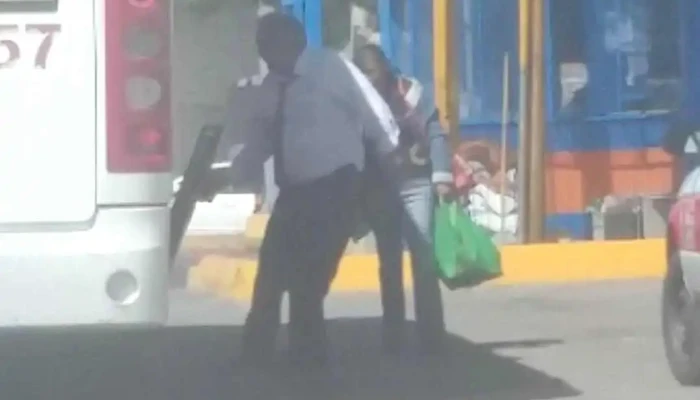 Omnibus De Mexico   Zootecnia Videos - Chihuahua