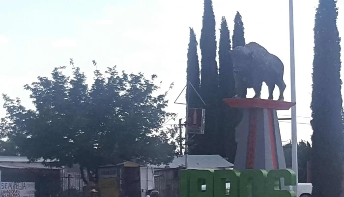 Omnibus De Mexico -  Abierto Ahora - Janos
