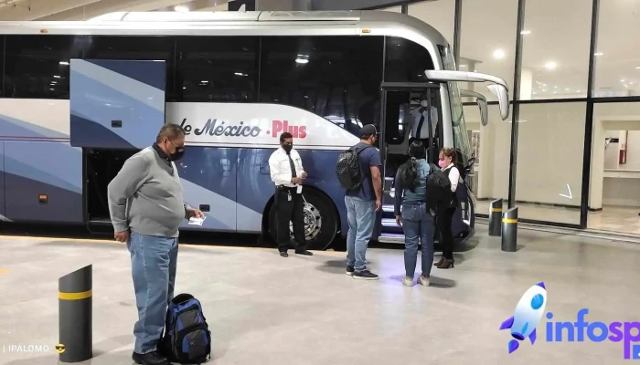 Omnibus De Mexico Aifa Autobus - Zumpango de Ocampo