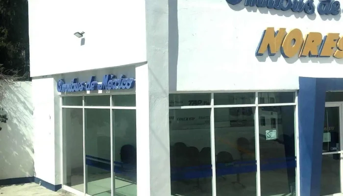 Omnibus De Mexico Autobuses Del Noreste - Heroes Potosinos 2101