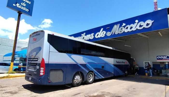 Omnibus De Mexico Ciudad Delicias Chihuahua Numero - Delicias