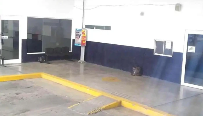 Omnibus De Mexico Ciudad Delicias Chihuahua Videos - Delicias