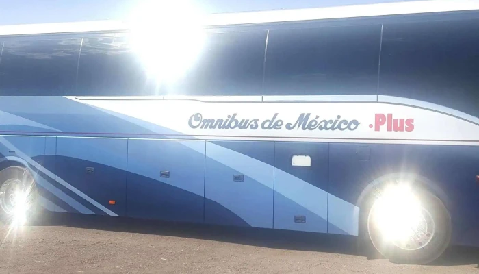 Omnibus De Mexico -  Fotos - Janos