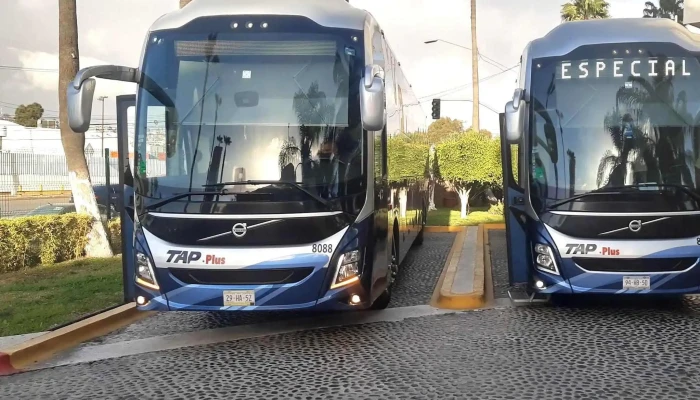 Omnibus De Mexico Guasave Horario - Guasave