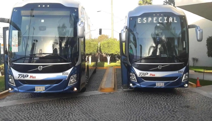 Omnibus De Mexico Guasave Videos - Guasave
