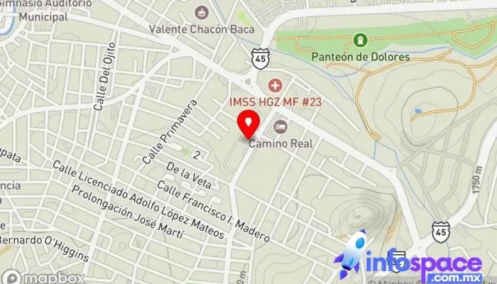 mapa de Omnibus De Mexico Empresa de autobuses en Hidalgo del Parral