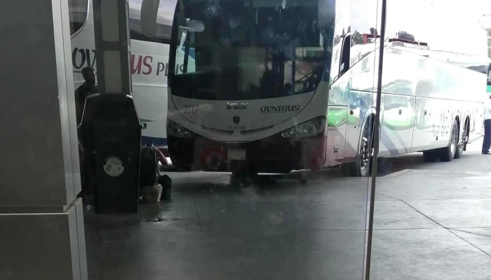 Omnibus De Mexico Numero - Gustavo A. Madero, Ciudad de México