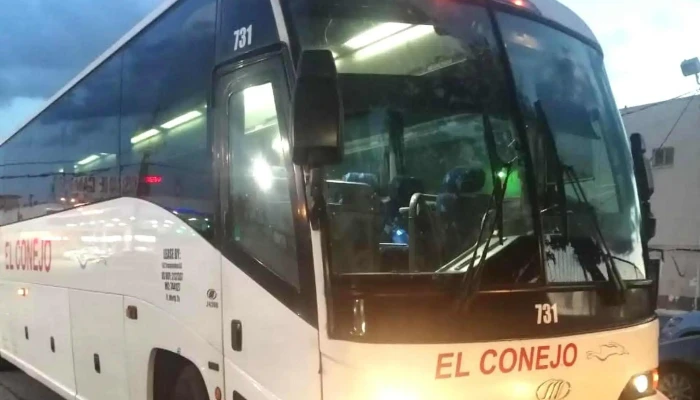 Omnibus De Mexico Numero - Celaya