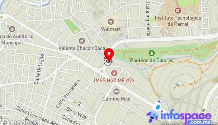 mapa de Omnibus de México sucursal Parral Servicio de transporte en Hidalgo del Parral
