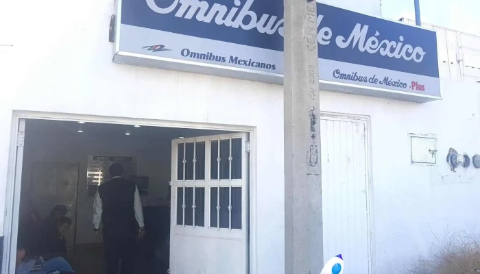 Omnibus De Mexico Tecnologico - La Escondida