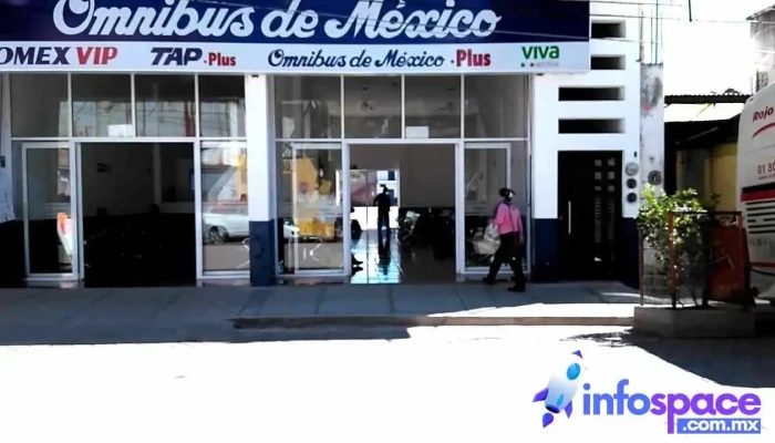Omnibus De México Tlaltenango - San Jose