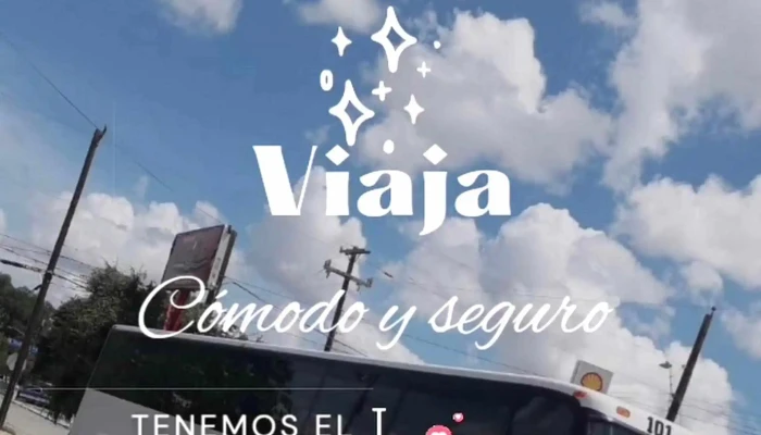 Omnibus De Mexico Ubicacion - Celaya
