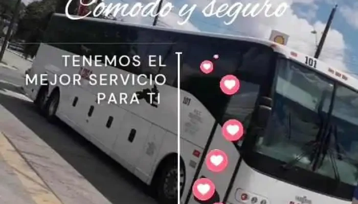 Omnibus De Mexico Videos - Celaya