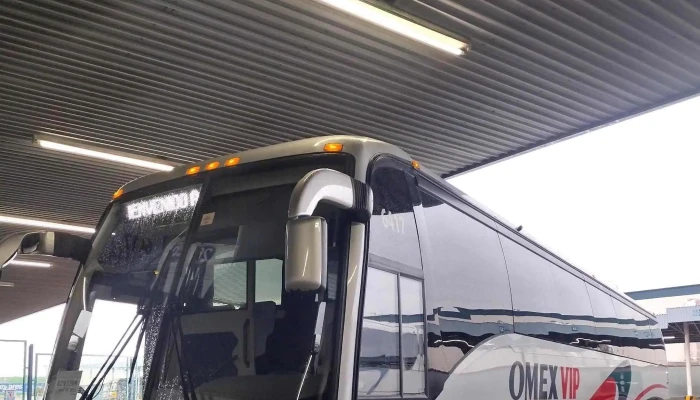 Omnibus De Mexico Zona - Juárez