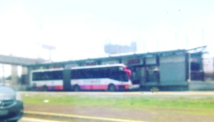 Palomas -  Abierto Ahora - Ecatepec de Morelos