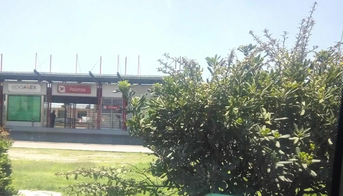 Palomas -  Cerca De Mi - Ecatepec de Morelos