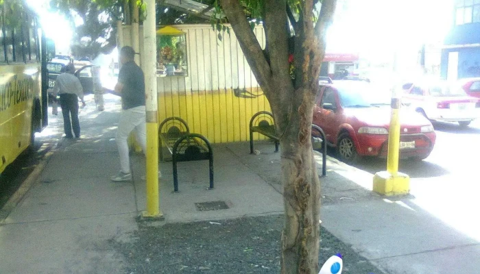 Parada De Autobus -  Catalogo - Cdad. Nezahualcóyotl