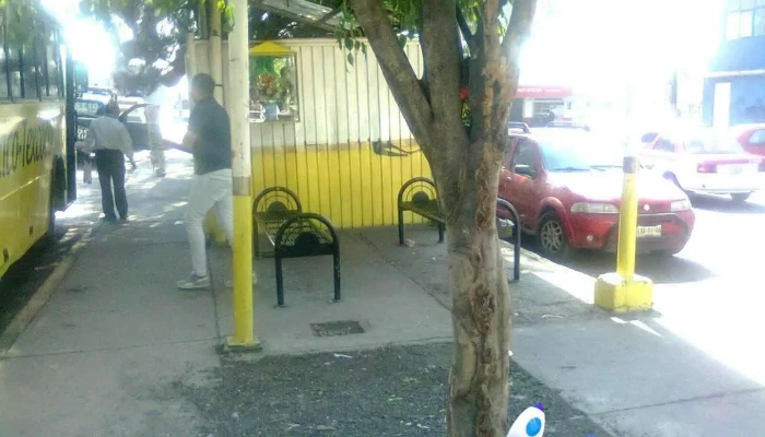 Parada De Autobus - Cdad. Nezahualcóyotl