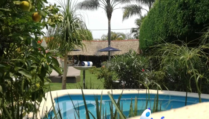 Paradise Hotel Boutique Lounge Servicios - Malinalco