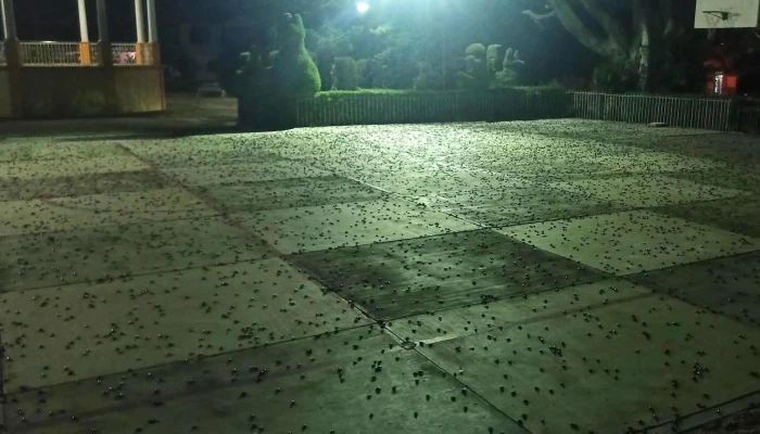 Parque Hidalgo De Tlalixtac De Cabrera -  Opiniones - Tlalixtac de Cabrera