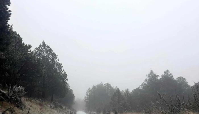 Paso De Cortes Tlamacaxco Descuentos - Amecameca de Juárez