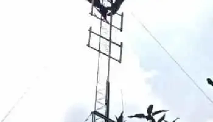 Pc Andre Videos - San Miguel Panixtlahuaca