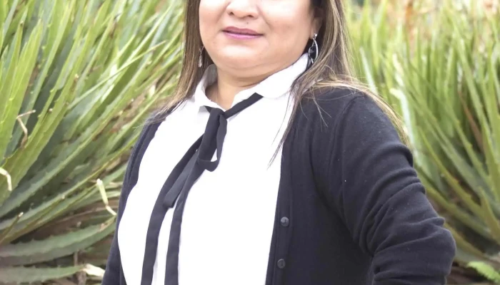Pidc Consultoria Sas De Cv Del Propietario - Oaxaca de Juárez