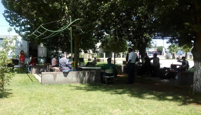 Plaza Lagunitas -  Telefono - Col. Le Barón