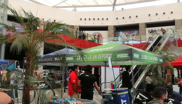 Plaza Patio Tecamac Ubicacion - Ejido Santa Ana
