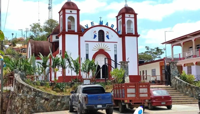 Pluma Hidalgo -  Direccion - Oaxaca