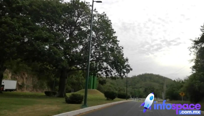 Pluma Hidalgo -  Videos - Oaxaca