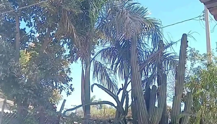 Poblado La Arrocera Poste13 -  Videos - Campo la Arrocera