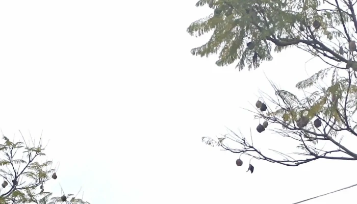 Polotitlan Edomex Telefono - El Cazadero