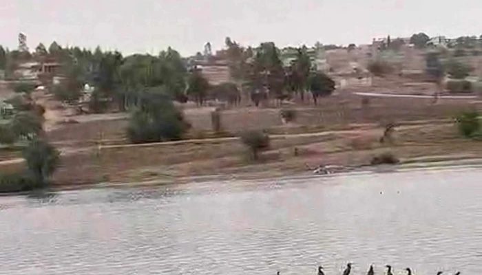 Presa De San Luis Taxhimay -  Telefono - San Luis Taxhimay